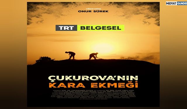Onur Sürek, TRT Belgesel’de Finalde!