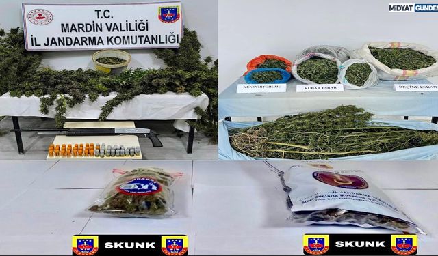 Jandarmadan Uyuşturucu Tacirlerine Büyük Darbe!