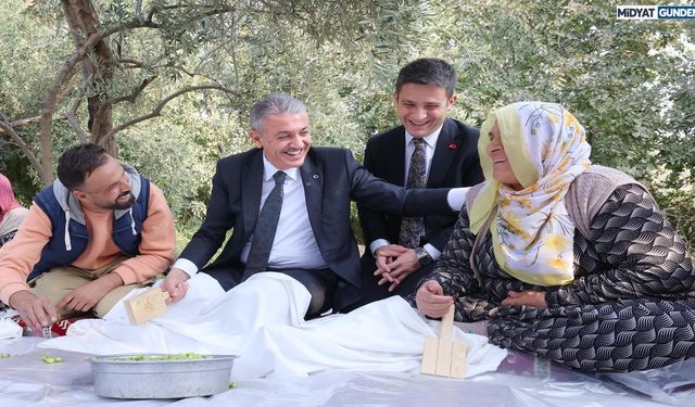 Vali Akkoyun Derik ilçesinde Zeytin Hasadına katıldı