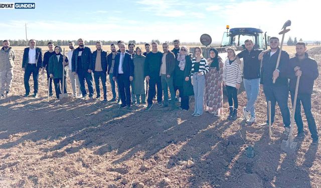 MAÜ’de Mezopotamya Toprağına Yeni Bir Miras: Zeytin Dikimi