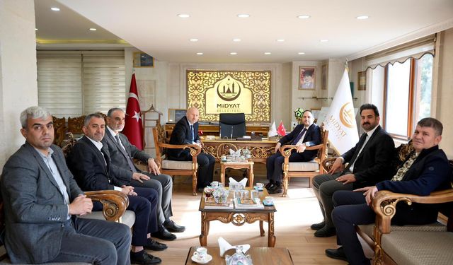 Midyat'ın Direkt Uçuş Talebine THY'den Hızlı Yanıt: 150 Bin Hemşehrinin Sesi Duyuldu