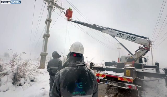 Güneydoğu Son 50 Yılın En Sert Kışında Enerjisiz Kalmadı