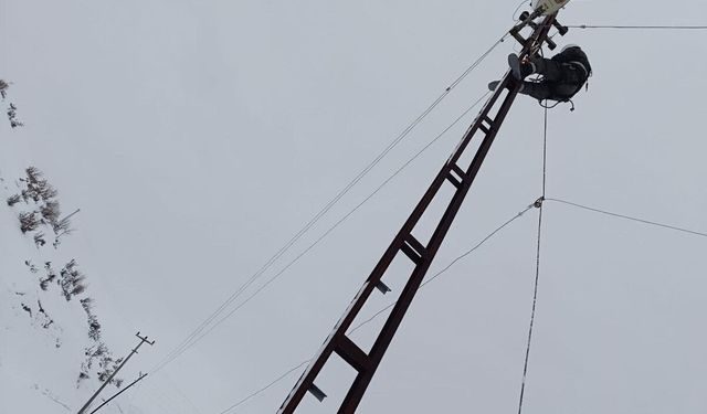 Mardin, Siirt ve Şırnak’ta 7/24 kar mesaisi