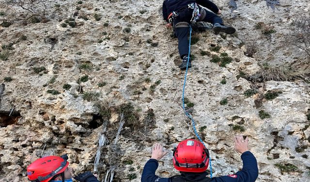 Midyat’ta Dağda Mahsur Kalan Keçi AFAD Ekiplerince Kurtarıldı