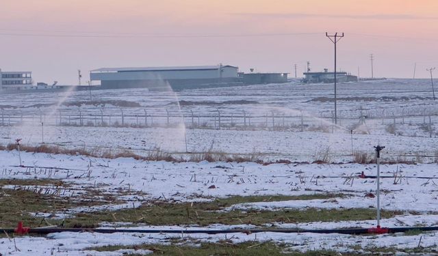 Karla Kaplı Arazide Kaçak Elektrikle Sulama!