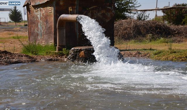 Güneydoğu'da Mısır Ekimi: Su ve Enerji Krizi Kapıda