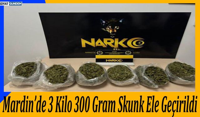 Mardin’de 3 Kilo 300 Gram Skunk Ele Geçirildi
