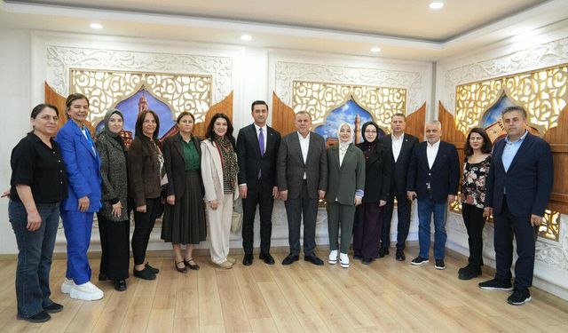 TBMM’den Midyat Çıkarması