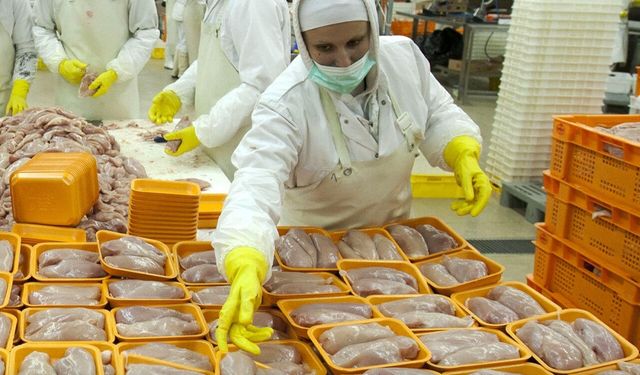 Beyaz et sektörüne operasyon: 13 şirkete denetim kayyımı atandı, 32 gözaltı