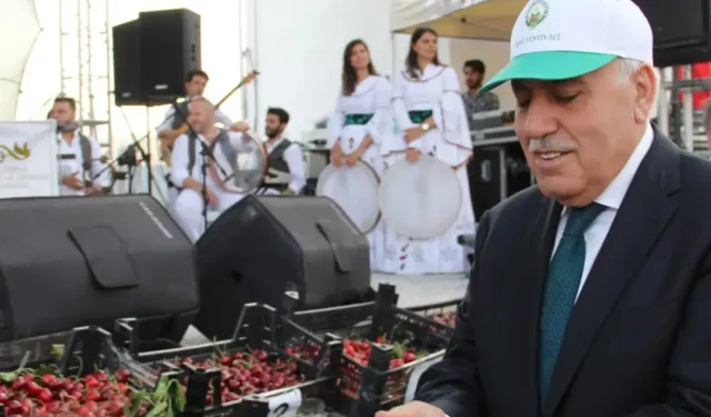 Mardin Yeşilli'de festival coşkusu başlıyor!