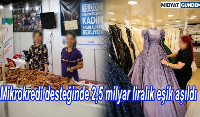 Mikrokredi desteğinde 2,5 milyar liralık eşik aşıldı