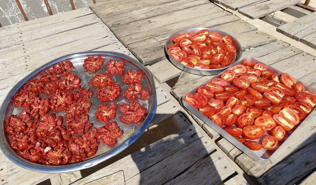 Midyat’ta güneş kışa hazırlanıyor Domates kurutma mesaisi başladı