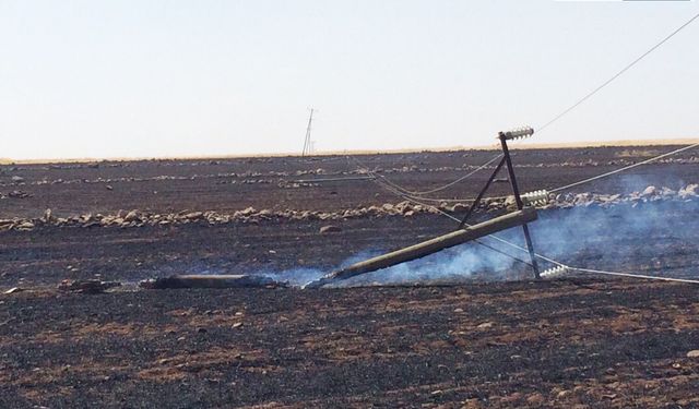 Dicle Elektrik’ten Anız Yangınlarına Karşı Sürdürülebilirlik Çağrısı: