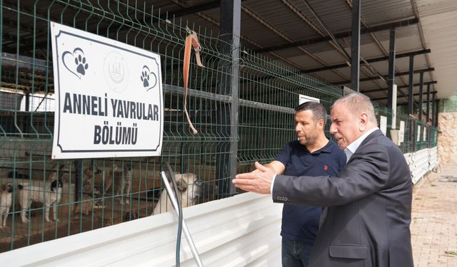 Başkan Veysi Şahin’den Bakımevi Ziyareti ve Sahiplenme Çağrısı