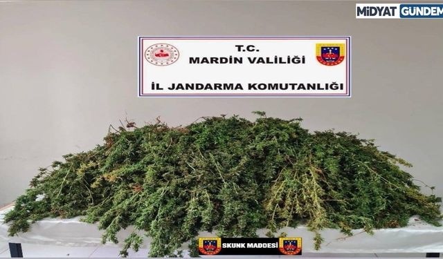 Mardin’de Jandarmadan Uyuşturucu Operasyonu!
