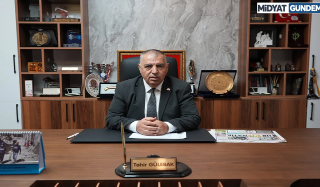 Tahir Gülebak’ın "Gazetecilere Yeşil Pasaport" çağrısı