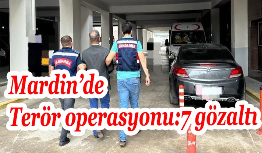 Mardin’de terör operasyonu: 7 gözaltı