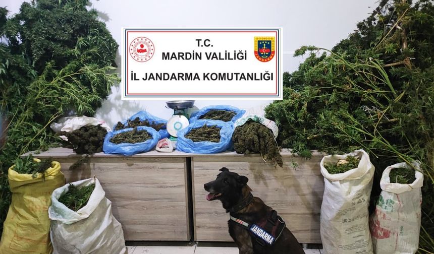 Mardin'de “Narko Güç” operasyonları