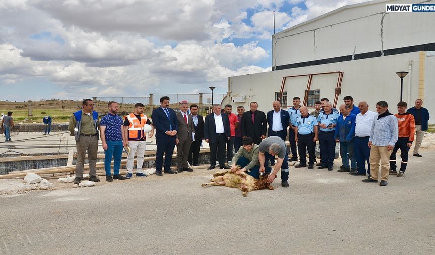 Belediye Başkanı Şahin, Annesi Adına Cami Yaptırıyor