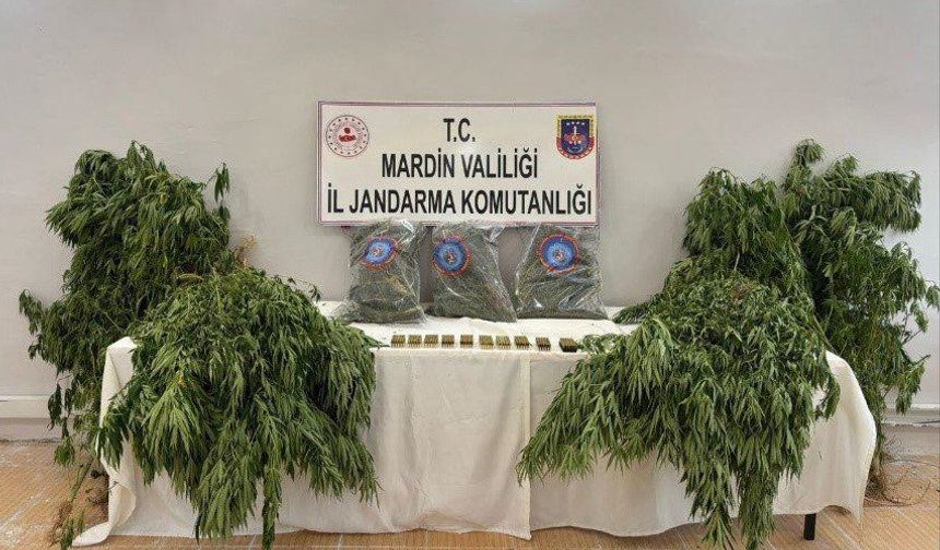 Jandarma’dan Derik’te Uyuşturucu Operasyonu