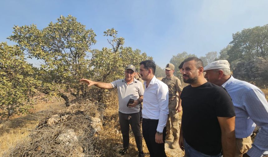 Dargeçit’teki Orman Yangını Kontrol Altına Alındı