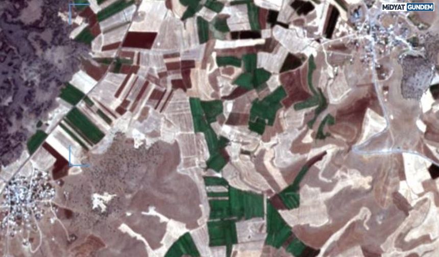 Ceza Yazılan Şahıs Dicle Elektrik Ekiplerine Saldırdı!