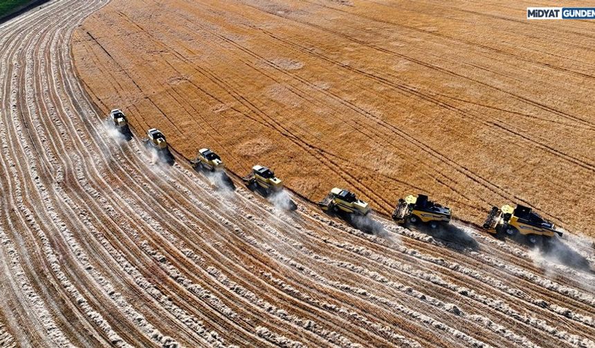 Türkiye Tarımı: Rekor Üretim Ama Verimlilik Sınavı