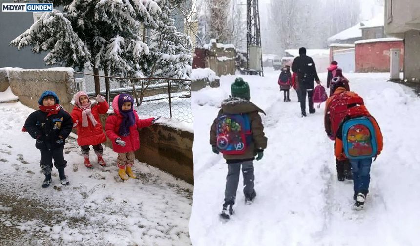 Mardin'e Kar Geliyor: Eğitime Ara Verildi
