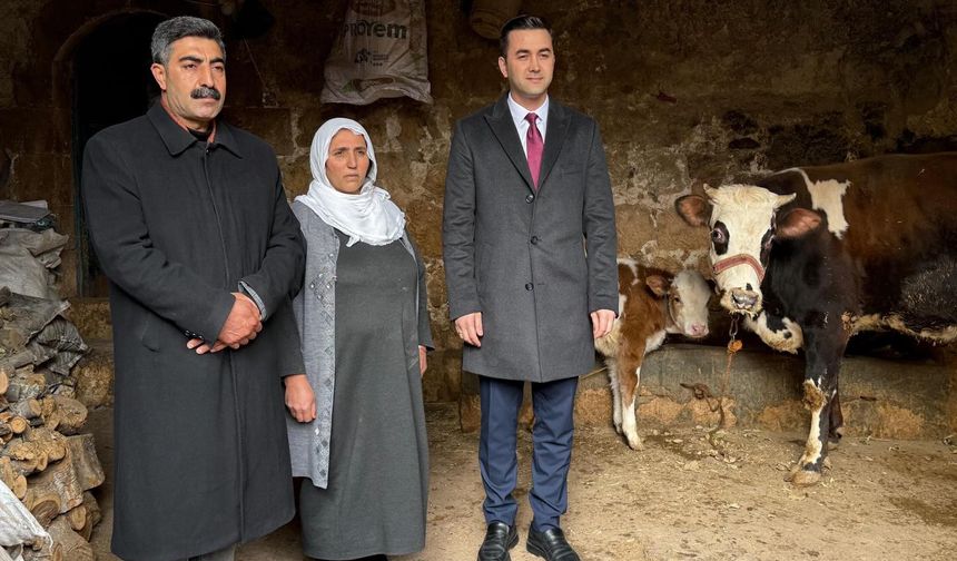 Devlet-Millet El Ele: İneği Telef Olan Aileye Umut Oldular