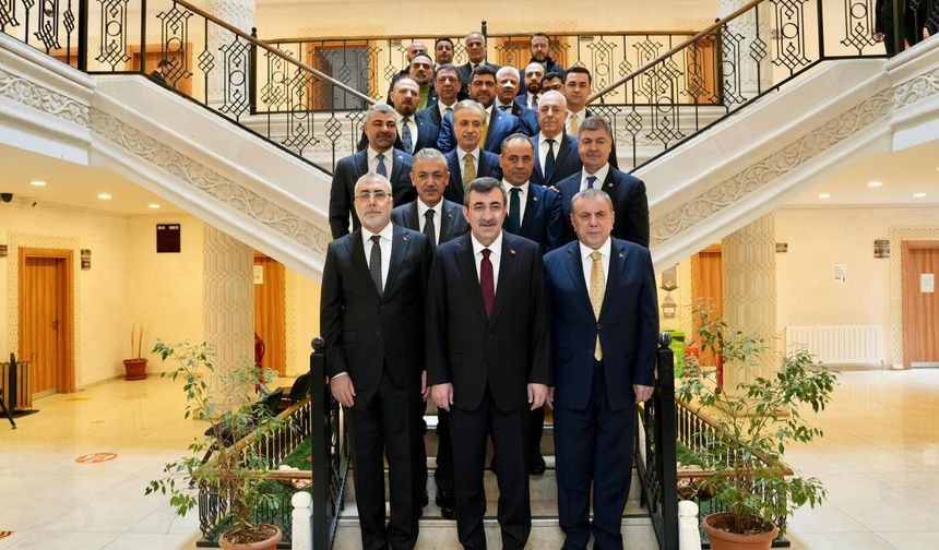 Cumhurbaşkanı Yardımcısı Yılmaz Midyat’ta