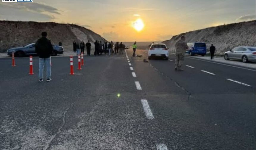 Midyat'ta iki aracın çarpışması sonucu 2 kişi yaralandı