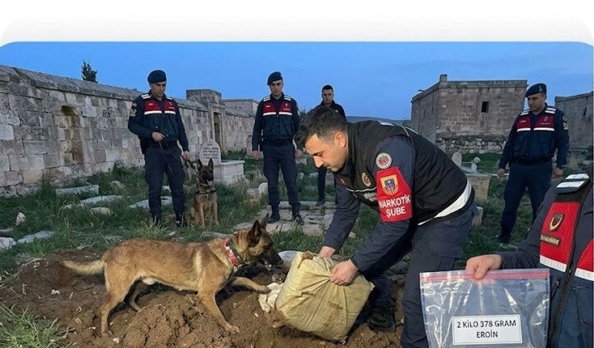 Mardin’de JASAT Pençesi: Bir Ayda 448 Aranan Şahıs Yakalandı!