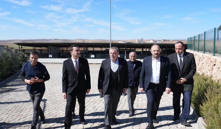 Midyat’ta Geçici Hayvan Barınağı’nda İnceleme