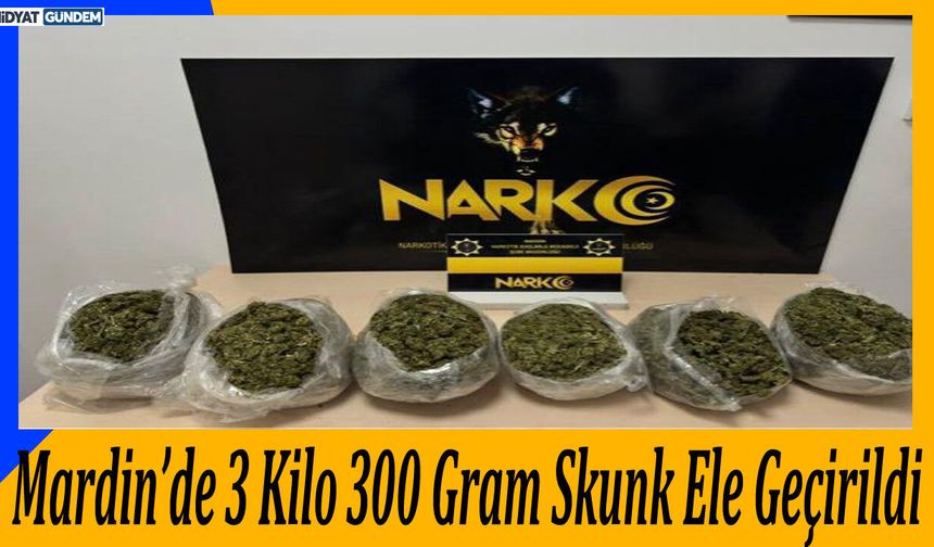 Mardin’de 3 Kilo 300 Gram Skunk Ele Geçirildi