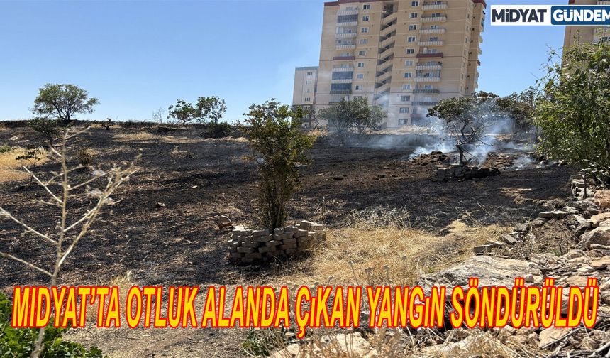 Midyat’ta otluk alanda çıkan yangın söndürüldü