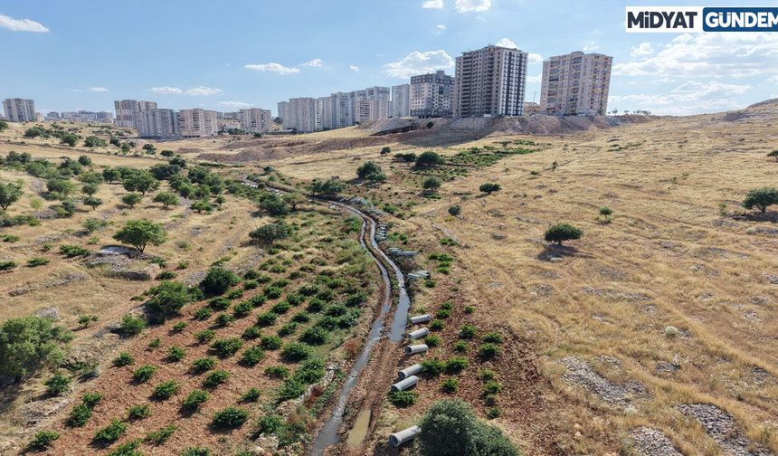 MARSU, Bir Dereyi Daha Yer Altına Alıyor; Tarım Arazileri Korunuyor