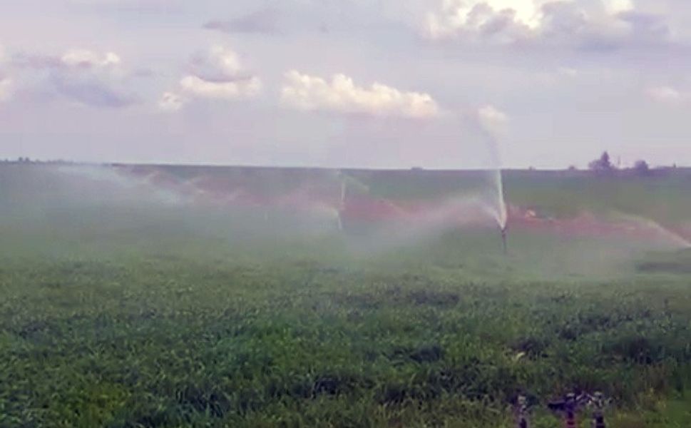Yağmur Yağarken Kaçak Elektrikle Sulanan Buğday Tarlası