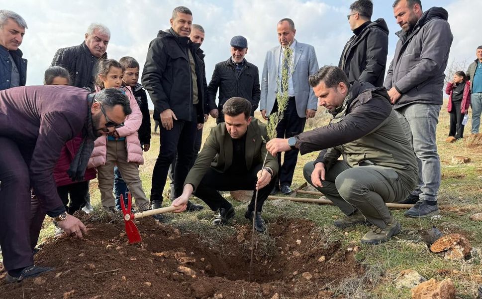 Midyat’ta Geleceğe Nefes: Söğütlü’de Yüzlerce Fidan Toprakla Buluştu