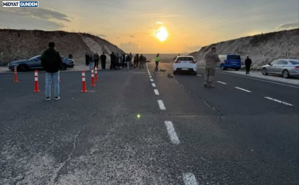 Midyat'ta iki aracın çarpışması sonucu 2 kişi yaralandı