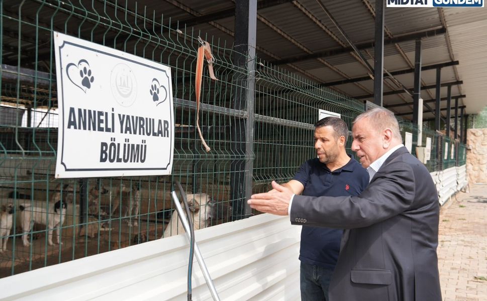 Başkan Veysi Şahin’den Bakımevi Ziyareti ve Sahiplenme Çağrısı