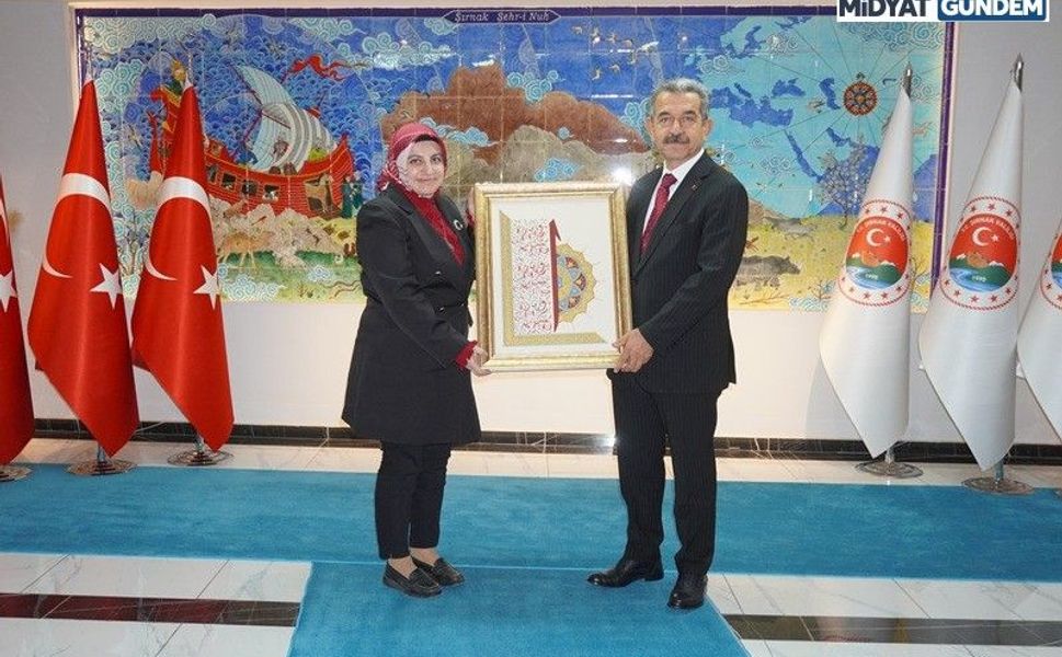 Mardin Olgunlaşma Enstitüsü’nden Şırnak ve Silopi’de Kültürel Miras Araştırması