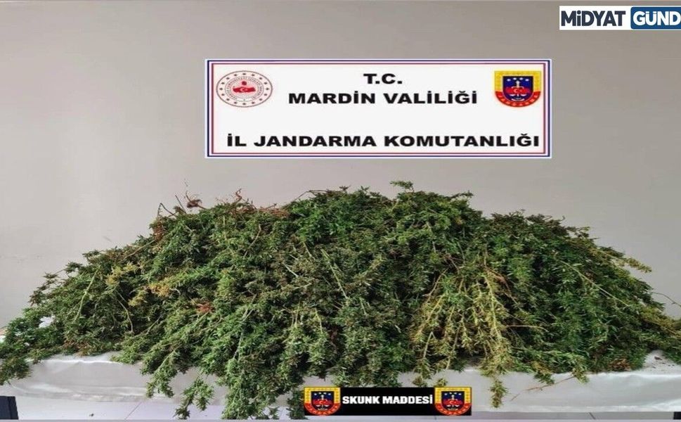 Kızıltepe'de, 43 Kilo Skunk Ele Ge geçirildi