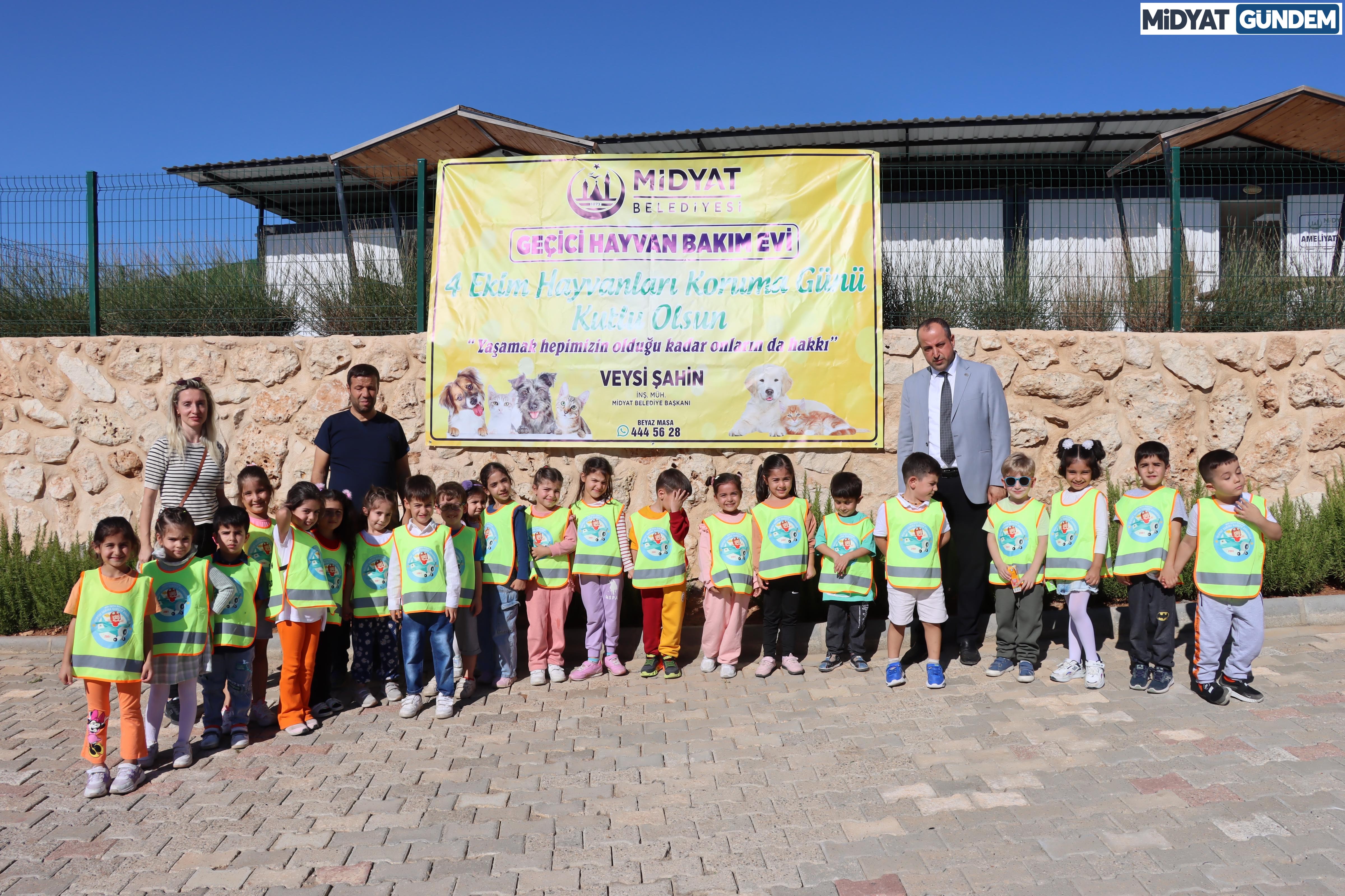 Midyat'ta Geçici Hayvan Bakımevi’ne Öğrencilerden Yoğun Ilgi (3)