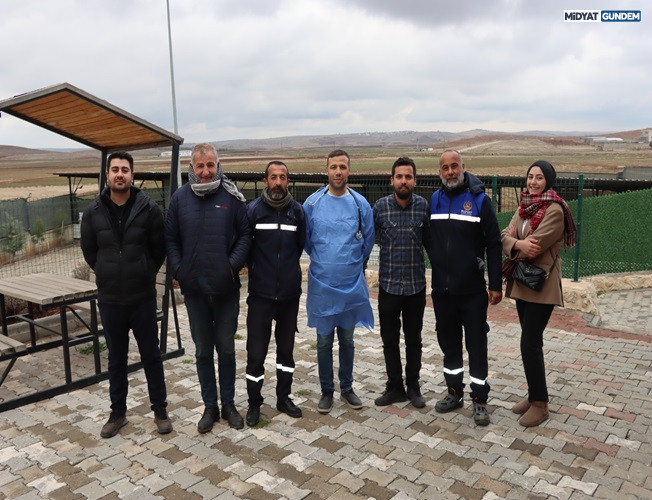 Midyat’ta Ayağı Kırılan Eşeye Protez Takıldı