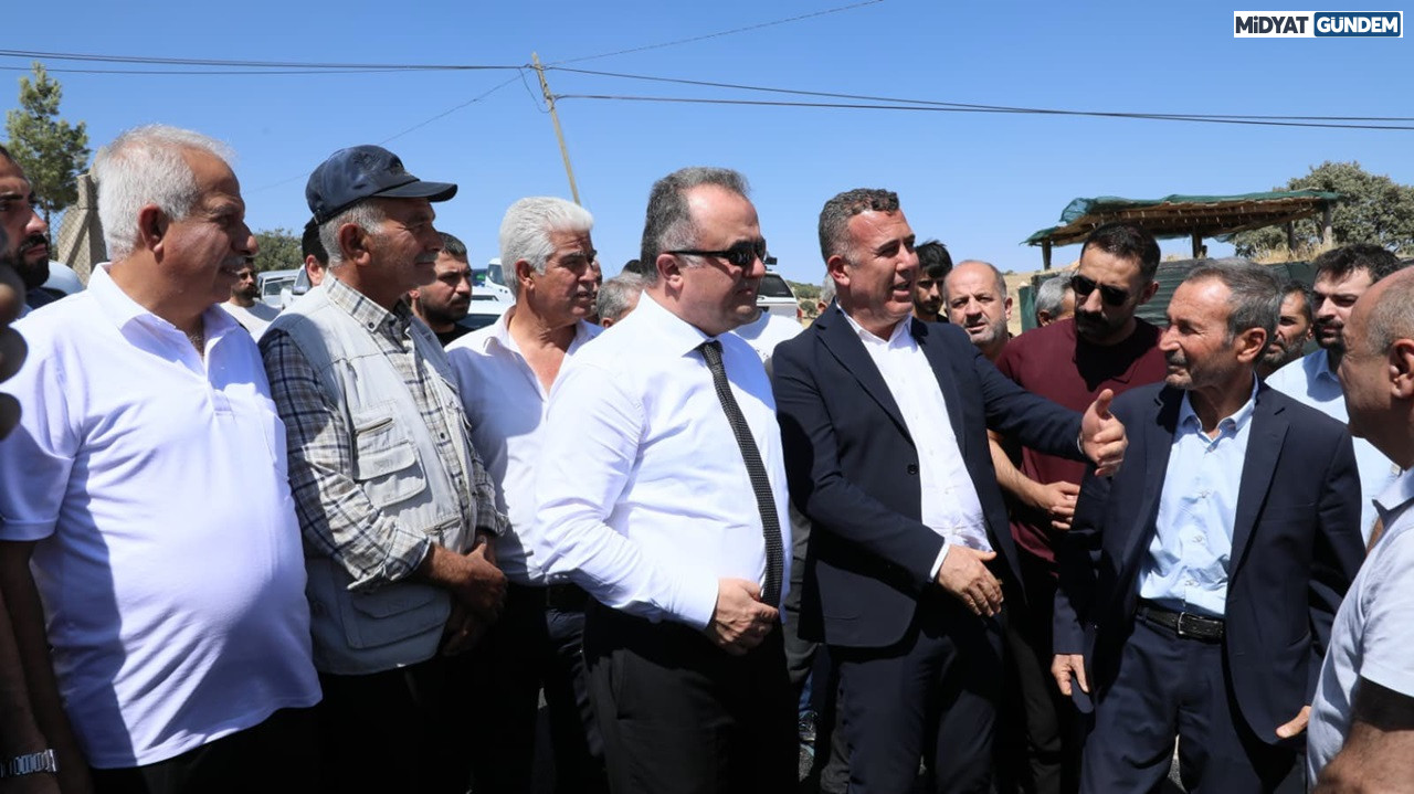 Savur Ömerli Yolunda Asfalt Çalışmaları Hızla İlerliyor (2)