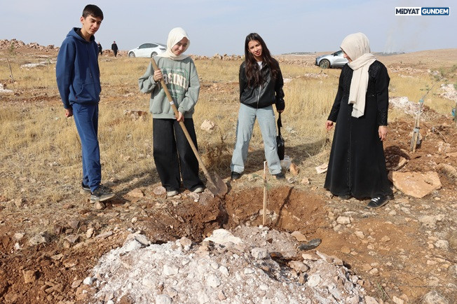 Midyat’ta Milli Ağaçlandırma Günü 400 Fidan Toprakla Buluştu C