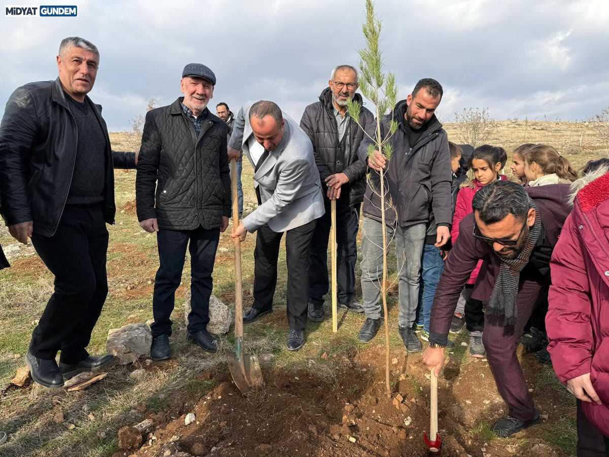 604791888 18064014452631081 341648467396964662 N