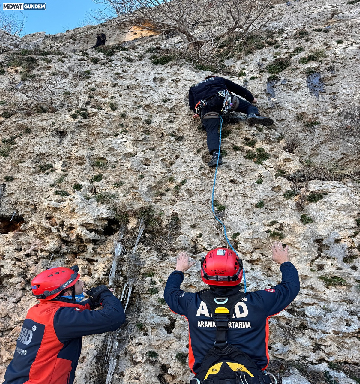 Midyat’ta Dağda Mahsur Kalan Keçi Afad Ekiplerince Kurtarıldı (1)