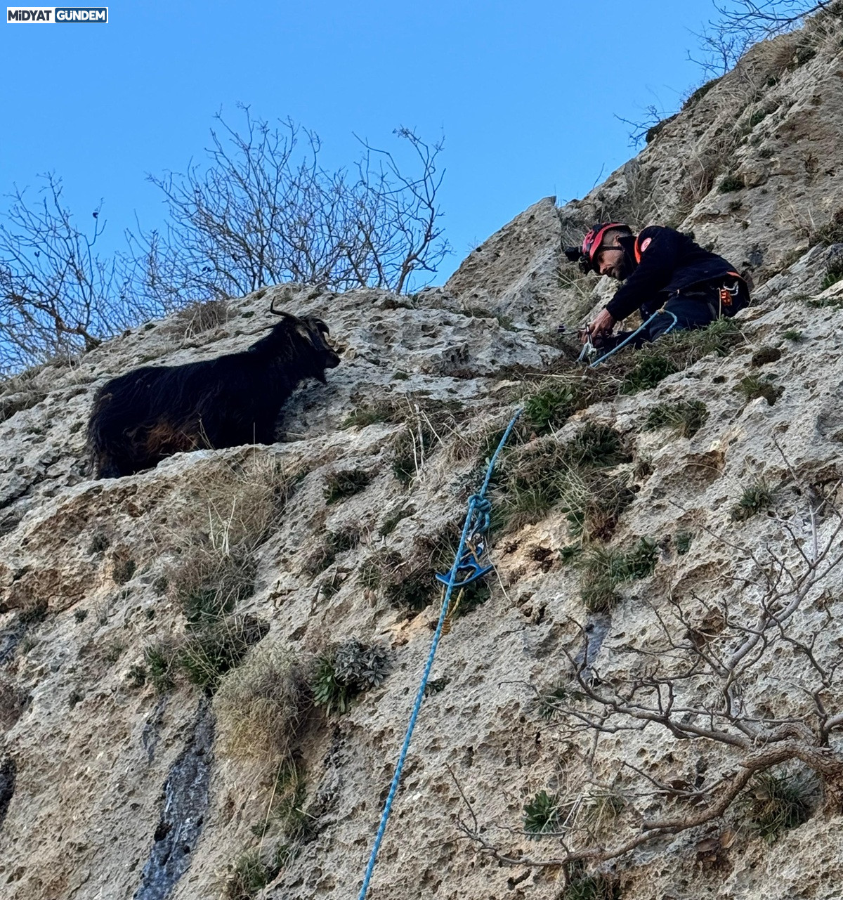 Midyat’ta Dağda Mahsur Kalan Keçi Afad Ekiplerince Kurtarıldı (2)-1
