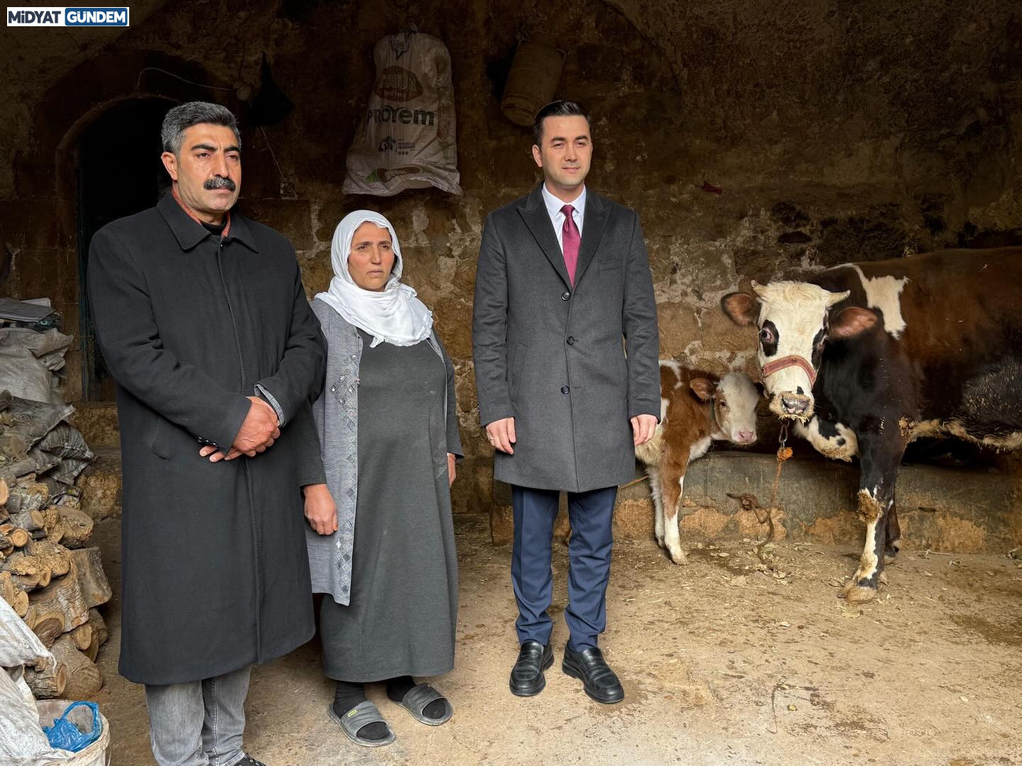 Midyat’ta Devlet Millet El Ele İneği Telef Olan Aileye Umut Oldular (3)